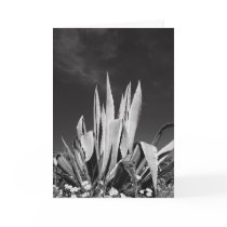 Agave Plant Greeting Card,Note Card