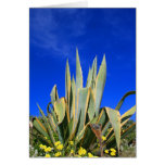 Agave Plant Greeting Card,Note Card