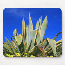 Agave Plant Mousepad
