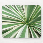 Agave Plant Mousepad