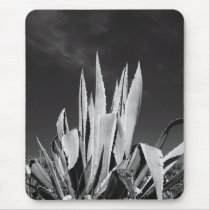 Agave Plant Mousepad