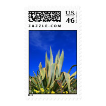 Agave Plant Postage postage by MichaelFelix Agave Plant Postage postage