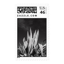 Agave Plant Postage postage by MichaelFelix Agave Plant Postage postage
