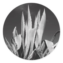 Agave Plant Sticker