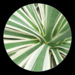 Agave Plant Sticker