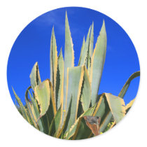 Agave Plant Sticker