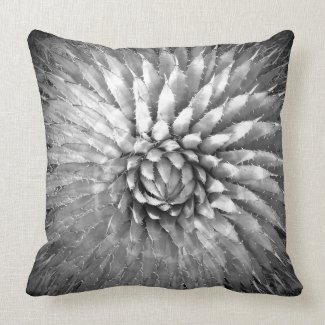 Agave Spikes Square Pillow Black and White B&W