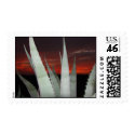 Agave Sunset postage