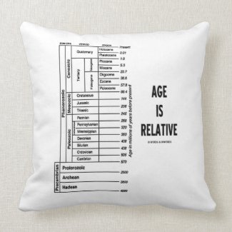 Age Is Relative (Geological Time Chart) Pillow