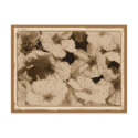 Aged Flowers Postcard