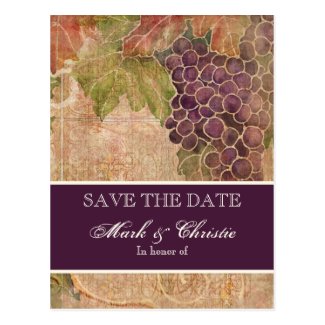 Aged Grape Vineyard Save the Date Post Card