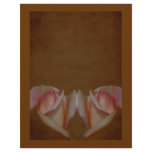Aged Pink Rosebuds Brown Floral Scrapbook Paper Letterhead
