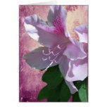 Ageless Beauty Card