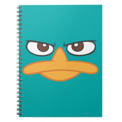Agent P Face notebooks