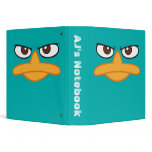 Agent P Vinyl Binder