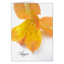 Aggie cards by lollypopgirrrl Aggie cards