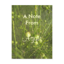 Aggie Post Card
