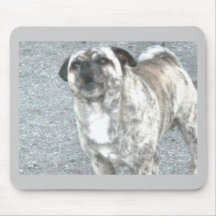 Aggravated Barking Bulldog Mousepad
