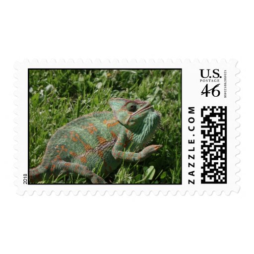 Aggressive Chameleon Postage Stamps