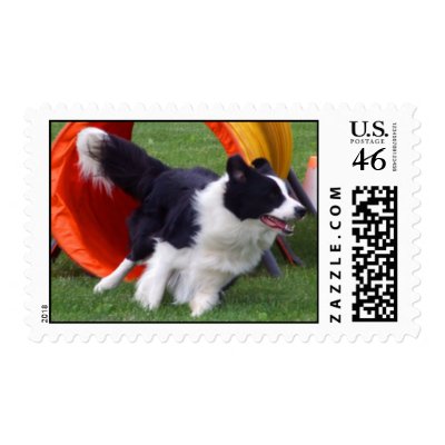 Agility Border Collie Tunnel Postage by MenagerieMayhem