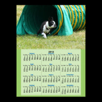 Agility Boston Terrier 2012 Calendar Poster posters