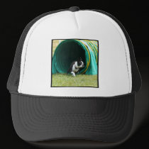 Agility Boston Terrier hats