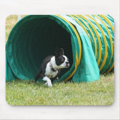 Agility Boston Terrier  mousepad by ritmoboxer