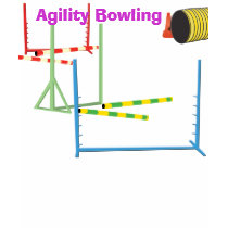 Agility Bowling T-Shirt