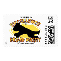 Agility Briard Secret postage by MenagerieMayhem Agility Briard Secret postage