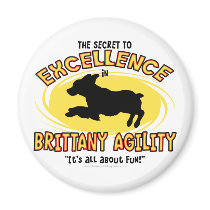Agility Brittany Spaniel Secret Magnet