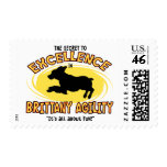 Agility Brittany Spaniel Secret postage