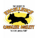 Agility Cavalier Spaniel Secret Ladies Tank Top t-shirts