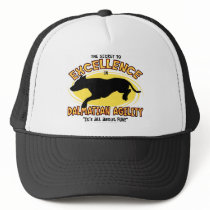 Agility Dalmatian Secret Hat by MenagerieMayhem Agility Dalmatian Secret Hat