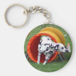 Agility Dalmatian Tunnel Key Chain