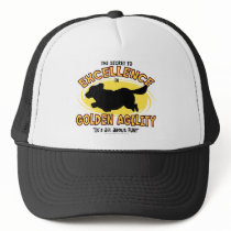 Agility Golden Retriever Secret Hat