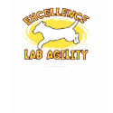 Agility Labrador Retriever Secret Ladies T-Shirt