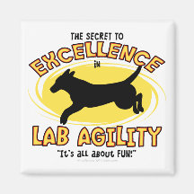 Agility Labrador Retriever Secret Magnet
