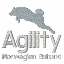 Agility Norwegian Buhund