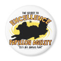 Agility Papillon Secret Magnet