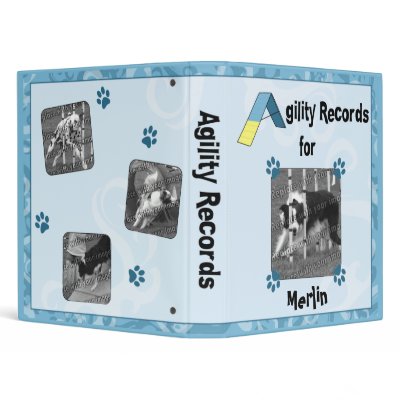 Agility Records Binder (Blue) by MenagerieMayhem