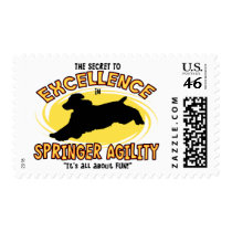 Agility Springer Secret Postage Stamps