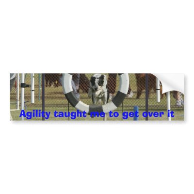 Agility taught me to get over it bumper stickers by vjwillms