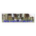 Agility taught me to get over it bumper stickers