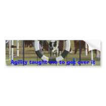 Agility taught me to get over it bumper stickers