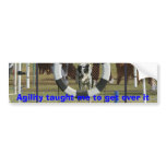 Agility taught me to get over it bumper stickers