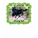 Agility Title Photo T-Shirt - Cust... - Customized by dogplay Agility Title Photo T-Shirt - Cust... - Customized