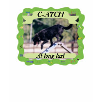 Agility Title Photo T-Shirt - Cust... - Customized