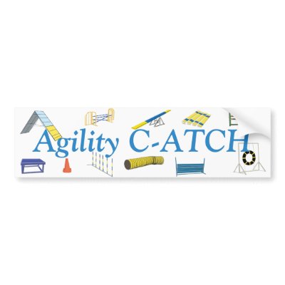 Agility Titles Bumper Sticker by dogplay