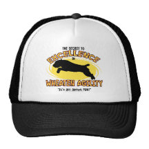 Agility Wheaten Terrier Secret Hat