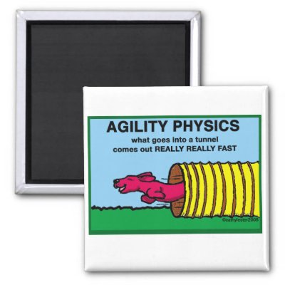 AgilityPhysics Magnet